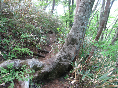 20140517hike (185)